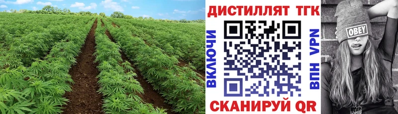 Дистиллят ТГК вейп  наркошоп  Шагонар 